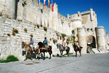 Spain-Central Spain-Vineyard Trail - Ruta del Vino